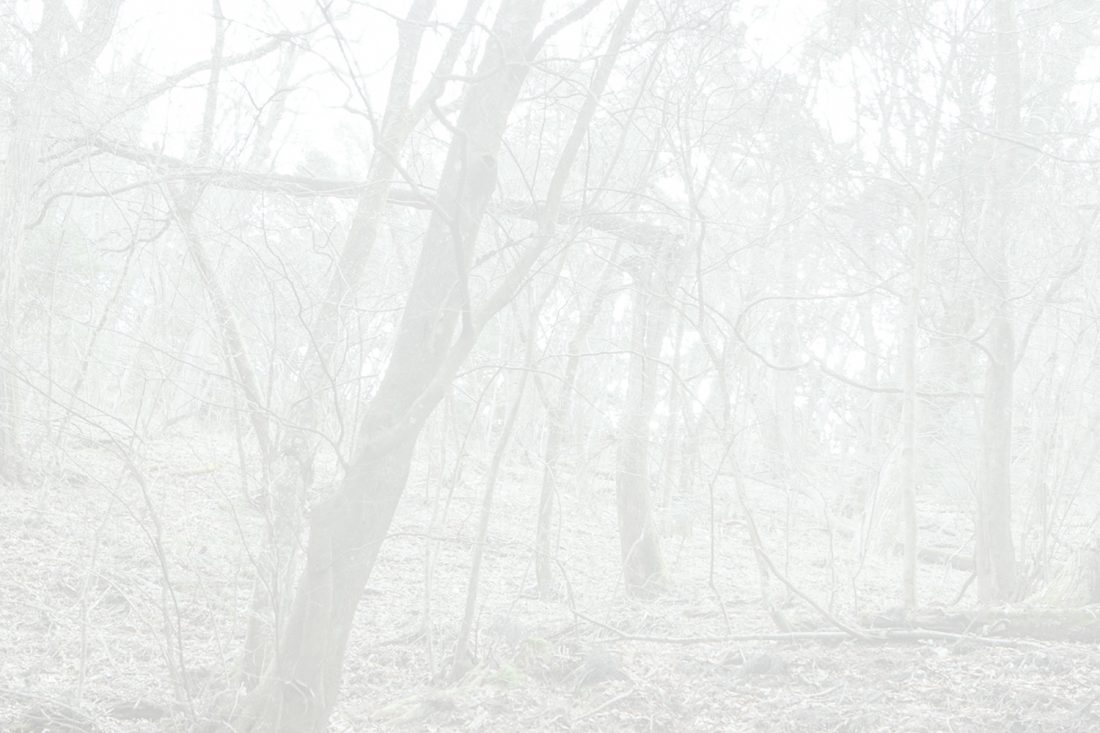 "magic artistic black and white landscape photo"