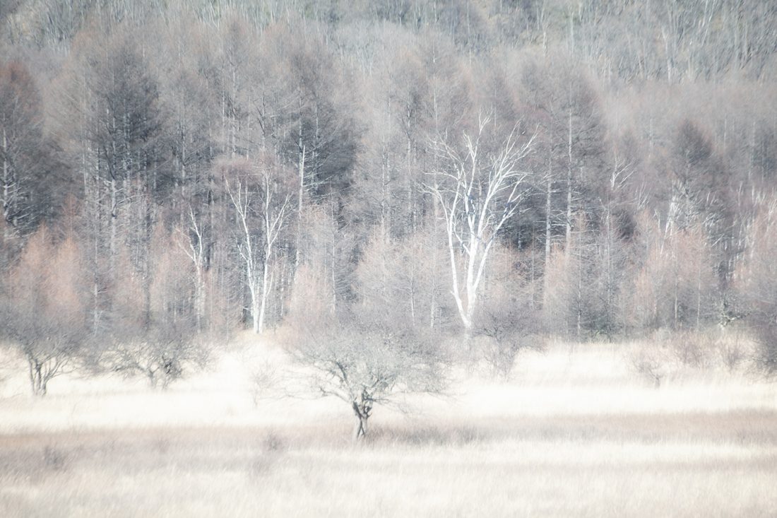 "magic artistic black and white landscape photo"